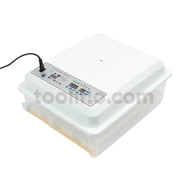 productCard